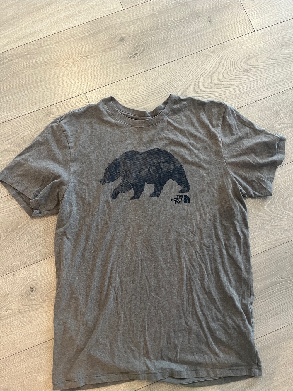 The North Face Men's Gray Bear Graphic Short Sleeve Tee